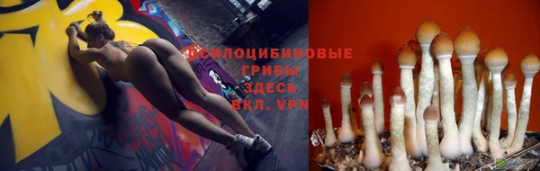 ГАЛЛЮЦИНОГЕННЫЕ ГРИБЫ Алзамай