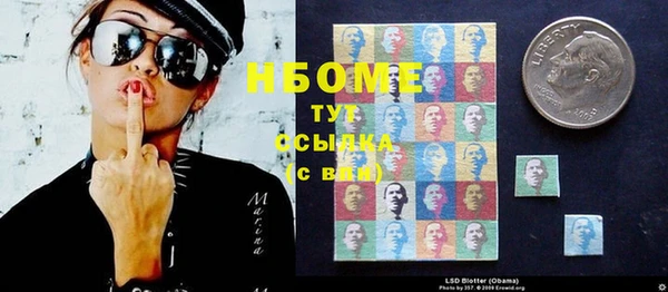 ГАЛЛЮЦИНОГЕННЫЕ ГРИБЫ Алзамай
