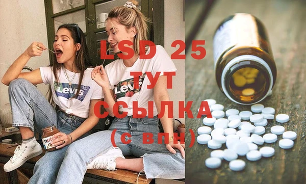 ГАЛЛЮЦИНОГЕННЫЕ ГРИБЫ Алзамай